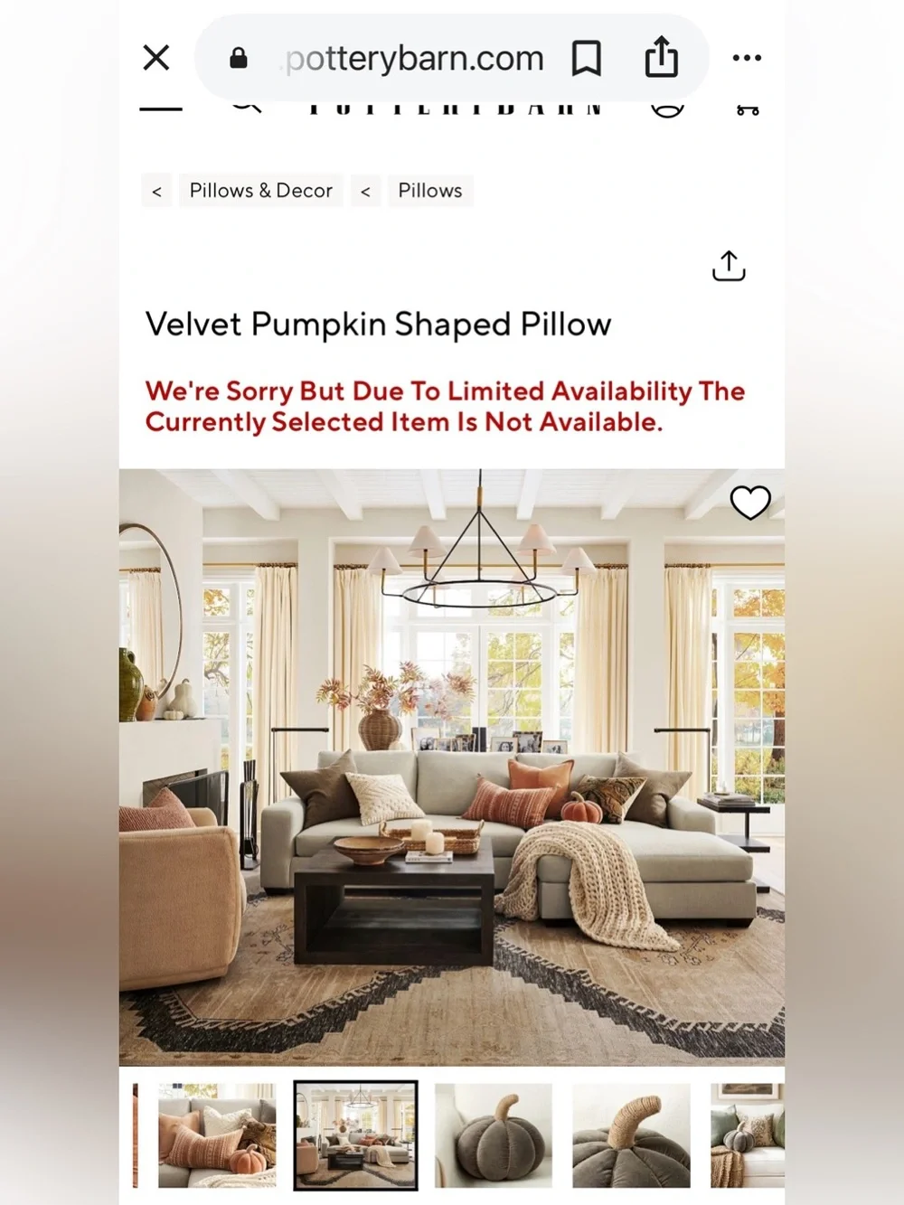 Rare Set of 2 Pottery Barn Velvet Pumpkin Pillows; Camel & Fig- NO Orange incl’d